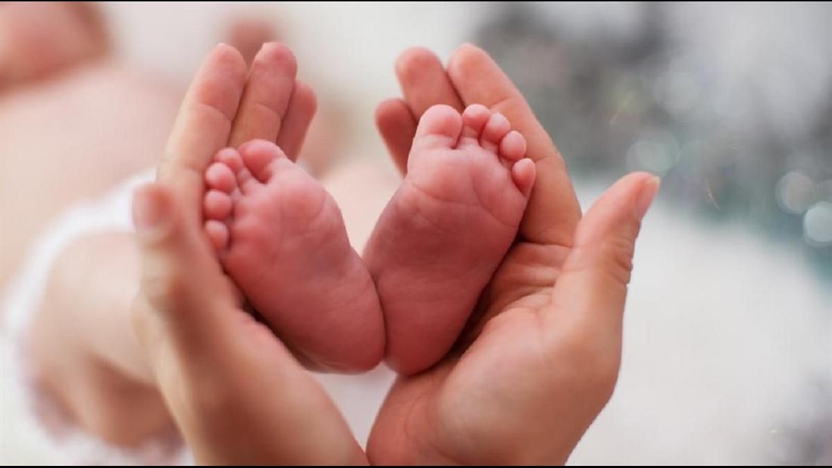 Младенец, рождаемость