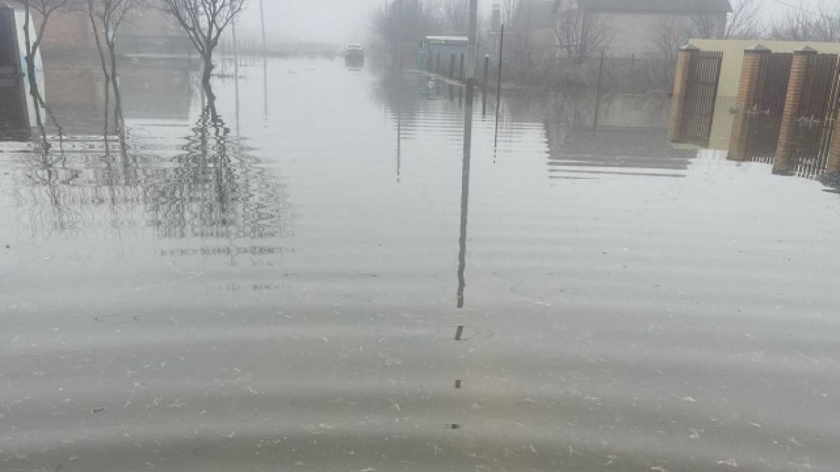 Паводок Паводок