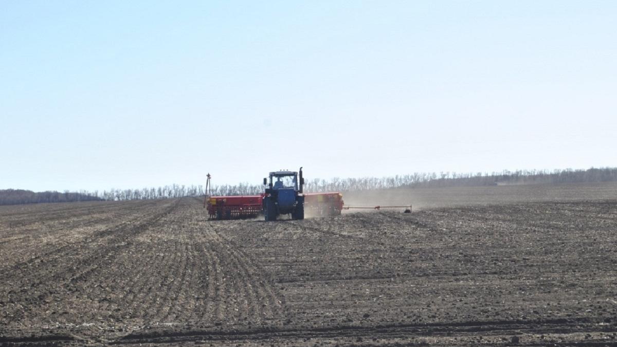 Посевная, работы в поле