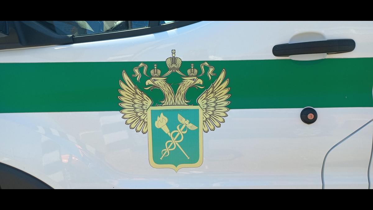 Федеральная таможенная служба